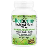 Natural Factors Berberine LipoMicel Matrix 500mg Liquid Softgels, 60 Count 60 pcs - 1 ea