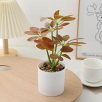 Plastic Branch Bonsai Plants 22cm Green Plant Potted New Artificial Potted Plants  Balcony Decor A brown