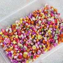 1g/Bag Simulated Flowers Epoxy Resin Candle Making Jewellery Diy Art Craft Home Party Decorative Press Artificial Flower orange