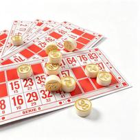 90-Piece Lotto Bingo Chess Number Game in Box