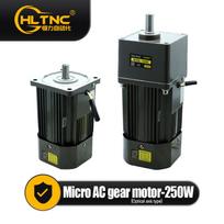 250W mikro AC variklis 110V 220V vienfazis asinchroninis variklis su reduktoriumi 15mm velenas 5-1400 RPM 50/60Hz Pakavimo mašinai 1400 RPM