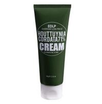 The Derma Factory Houttuynia Cordata 71% kremas 60g – Raminantis ir drėkinantis jautriai odai 60g black