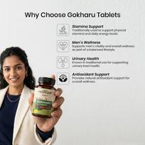 VEDAONE Gokharu/Gokshura Tablets (60 Count) | Pure Tribulus Terrestris Extract for Men's Wellness & Stamina | Natural Urinary Tract Health & Dail