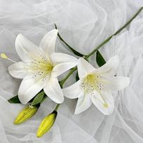 New 67cm Artificial Lily Flower 2 Heads Silk Fake Lily Bouquet 3D Printing DIY Wedding Bridal Bouquet for Home Wedding Decor brown