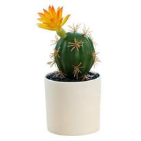 Mini Bonsai Non-Fading Landscaping Plastic Simulation Succulent Plants Table Decoration 10 black