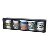 Set 5 guinomi Tokaido Japanese souvenir made Japan ukiyo-e Utagawa Hiroshige ochoko sake cup ware traditional craft tourism commemorative item gift gray