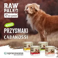 VETEXPERT Raw Paleo Cabanossi Beef Medium Large Mono - skanėstas šuniui - 100g