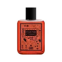 Pan Drwal AFTERSHAVE STEAM PUNK Working Class Hero losjonas po skutimosi 100 ml