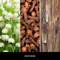Kvapų difuzoriaus papildymas 250 ml WHITE MUSK MILLEFIORI