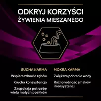 PURINA Pro Plan Veterinary Diets Feline UR St/Ox Urinary - sausas kačių maistas - 1,5kg