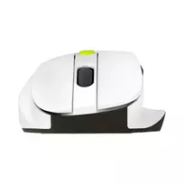 ASUS MD105 MOUSE/VT-GN kompiuterio pelė Universalus Dešinės rankos RD belaidis ryšys + „Bluetooth“ 2400 DPI
