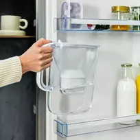 Brita Style Essential + 2 MAXTRA PRO PURE PERFORMANCE(grafitas)