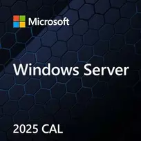 Microsoft Windows Server CAL 2022 Klientų prieigos licencija (CAL) 1 licenc.