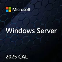 MS Windows Svr CAL 2025 PL 5Clt Device CAL OEM