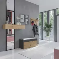 Topeshop PARMA SZAFKA ANT/ART batų dėžė Uždaras Antracitas, Ąžuolas