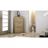Topeshop PAULA ARTISAN batų dėžė Uždaras Ąžuolas