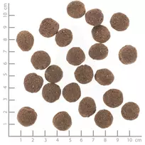 WOLFSBLUT VetLine Hypoallergenic Horse with sweet potatoes - sausas maistas šunims - 2kg