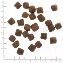 WOLFSBLUT Dark Forest Venison with sweet potatoes - sausas maistas šunims - 12,5kg