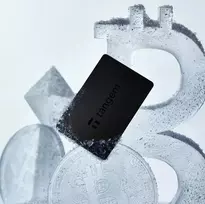 Tangem Wallet kriptovaliutų piniginė – 2 kortelės