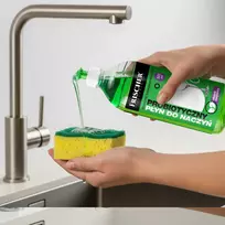 Frischer indų ploviklis su pipirmėčių aliejumi, 500 ml