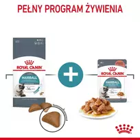 Royal Canin Hairball Care sausas kačių maistas 10 kg Suaugusių Kukurūzas, Paukštiena, Ryžiai, Daržovių