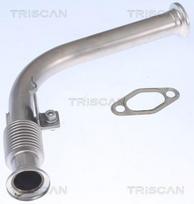 Vamzdis, EGR vožtuvas TRISCAN 8811 23000
