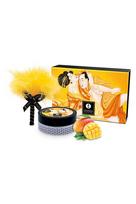 Shunga Edible Body Powder Mango 75g - Sensual Dry Massage Kit with Feather Brush