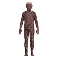 Stranger Things įkvėptas Vecna kostiumas-kombinezonas vaikams. Puikiai tinka Helovinui ir teminiams vakarėliams Kid,XS black