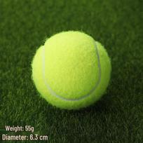 Beginner Pink Tennis Shake Ball - High Elasticity, Durable, Multi-color Fitness Training Ball