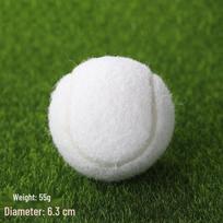 Beginner Pink Tennis Shake Ball - High Elasticity, Durable, Multi-color Fitness Training Ball