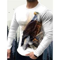 3D Spausdinti Vilko Erelio Marškinėliai Vyrams Vintažiniai Gyvūnų Rašto Marškinėliai Pavasario Rudens Ilgomis Rankovėmis O-Kaklo Viršutiniai Laisvi Street T-Shirt 4XL gray