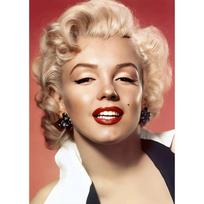 DORA Tin Sign Metal Interior Plaque Marilyn Monroe xcm 20x30cm（7.8x11.8inch）