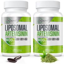 Liposominis artemisininas Maksimalus įsisavinimas Saldžiųjų kiečių ekstraktas Artemisia Annua