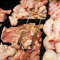 Lung Remover Reliable Gutting Tool for Turkey Slaughterhouses Easy to Clean L brown