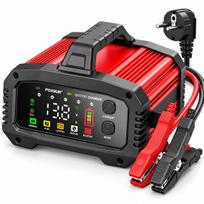 Automobilio akumuliatoriaus įkroviklis FOXSUR FPT-250 12V/24V 25A