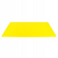 Judo tatamis inSPORTline TAISHAN 200x100x5 cm, profesionalus, IJF