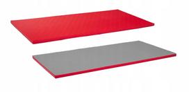 Sportinis tatami kilimėlis, 200 x 100 x 4 cm, neslystantis, raudonas, R140