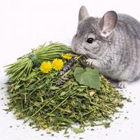 Žolelės šinšiloms ir degu, skanėstas, 100 g