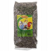 Saulėgrąžos Avicentra, dryžiuotos, 1 kg