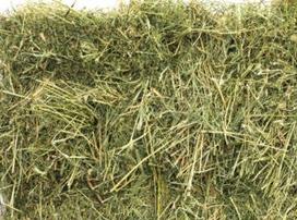 Natūralios pievos šienas triušiams ir graužikams, 500 g