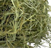Šienas triušiams ir graužikams, natūralus, 500 g
