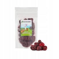 Liofilizuotos gervuogės FACTORYHERBS, 20 g