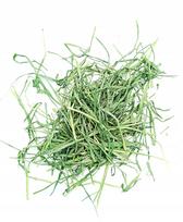 Šienas triušiams, jūrų kiaulytėms ir graužikams, 0,5 kg, premium kokybės