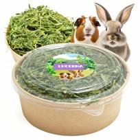 Liucernos šienas graužikams ir triušiams