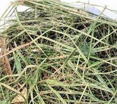 Šienas triušiams ir graužikams, 1 kg, natūralus, kvapnus