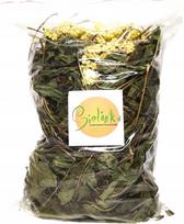 Žalioji ežiuolės lapų arbata su kačiuku, 250 g, IDYLL