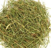 Šienas graužikams, 1 kg – natūralus