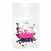 Liofilizuotos gervuogės TIVO, 20 g