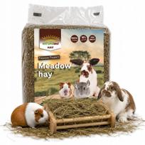 Šienas triušiams ir graužikams NatureLand, 3 kg