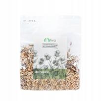 Margainio sėklos Tivo, 100 g